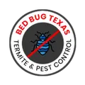 Bed Bug Texas