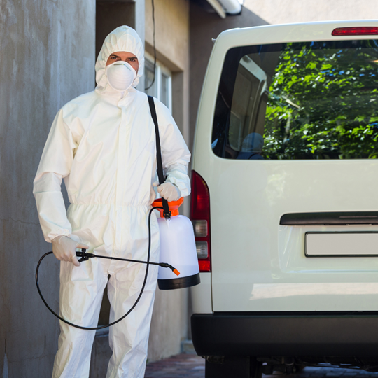 Pest Control Treatments | Bed Bug Texas Termite & Pest Control Pest Control Treatments | Bed Bug Texas Termite & Pest Control